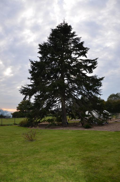 La Grange De La Gandonnerie Holiday home